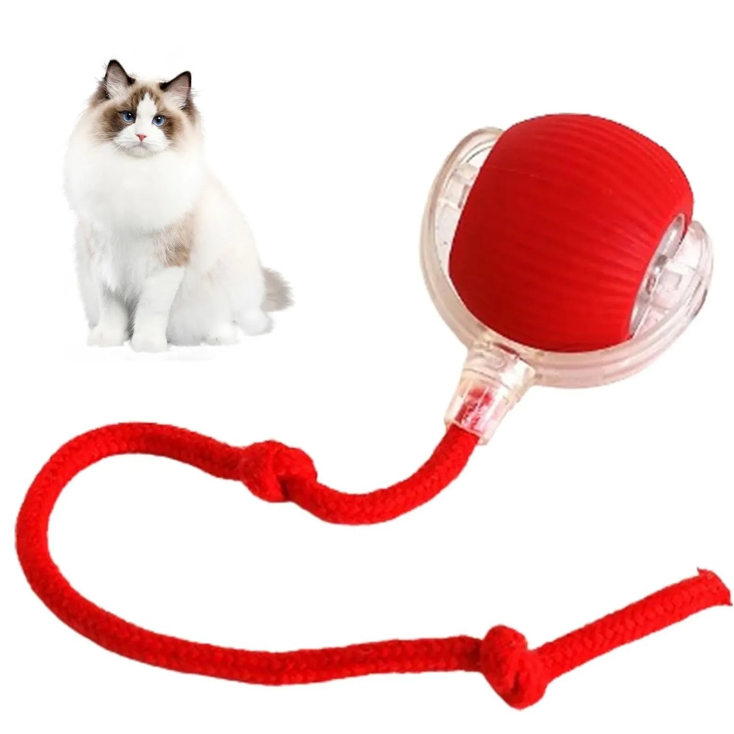 Juguetes interactivos para gatos Lettuce, pelota rodante, juguetes
