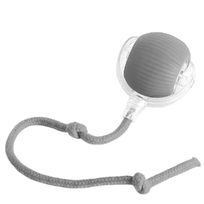 Juguetes interactivos para gatos Lettuce, pelota rodante, juguetes