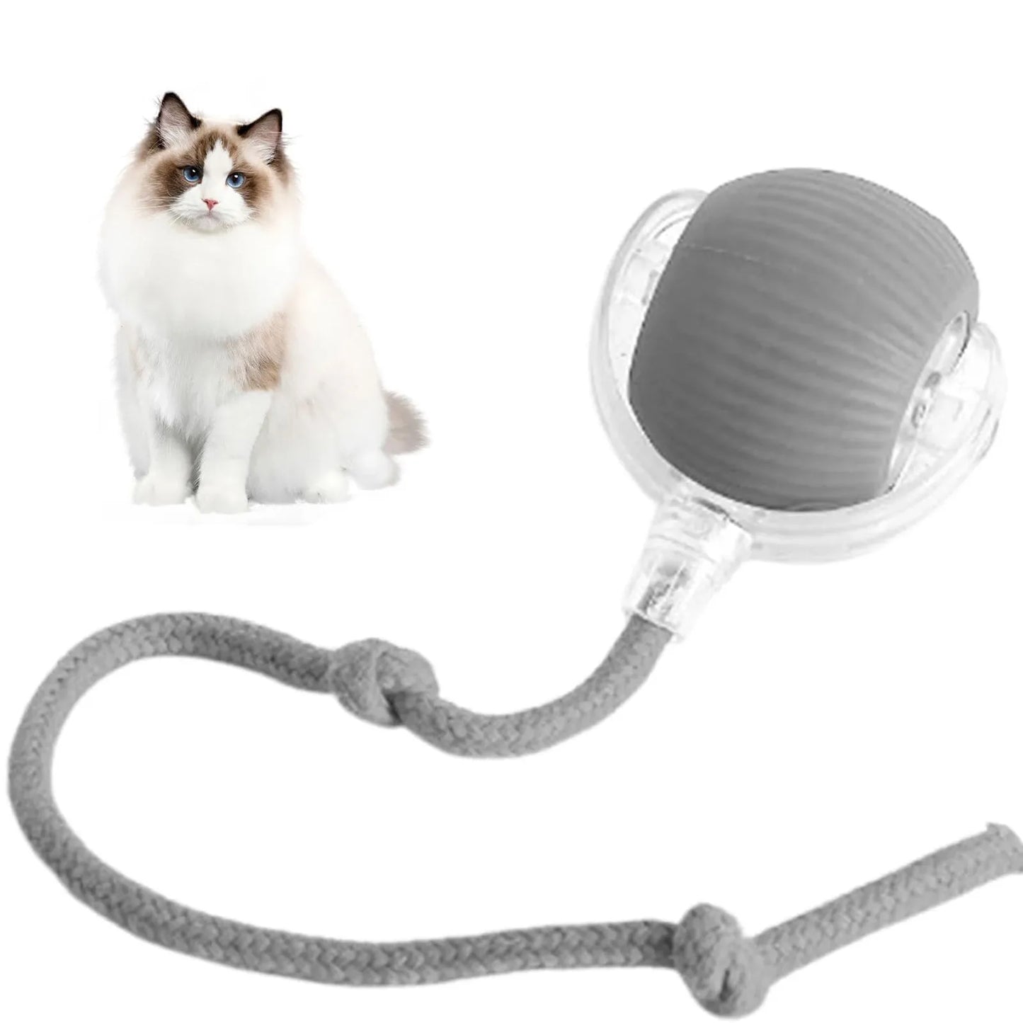 Juguetes interactivos para gatos Lettuce, pelota rodante, juguetes