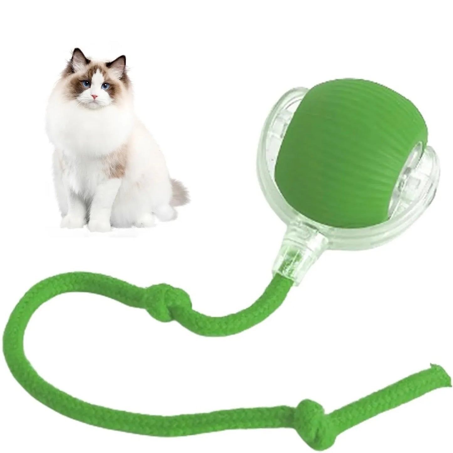 Juguetes interactivos para gatos Lettuce, pelota rodante, juguetes