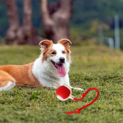 Juguetes interactivos para gatos Lettuce, pelota rodante, juguetes