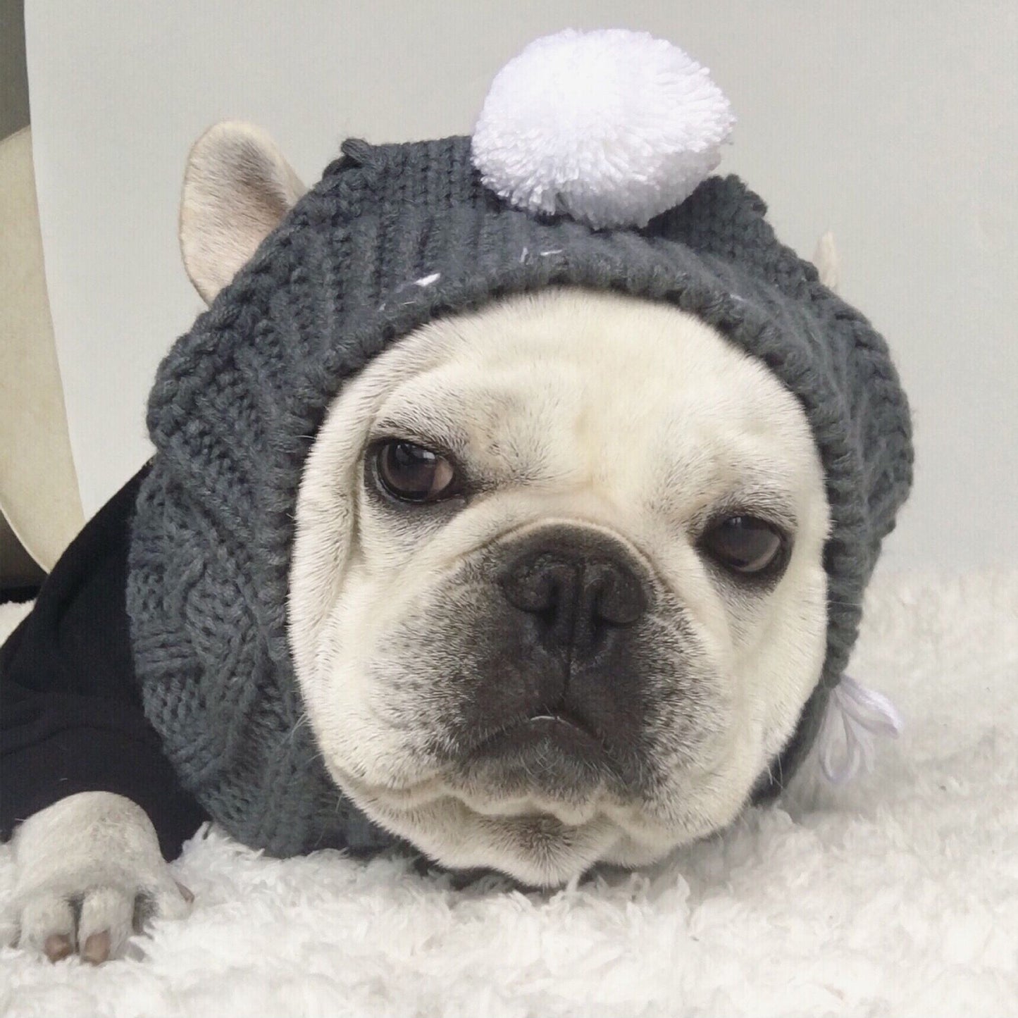 Gorro de invierno para mascotas, gorro navideño para perros