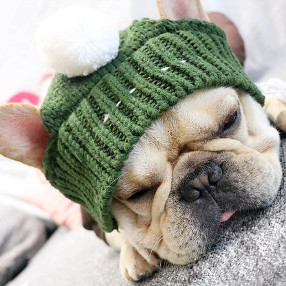 Gorro de invierno para mascotas, gorro navideño para perros