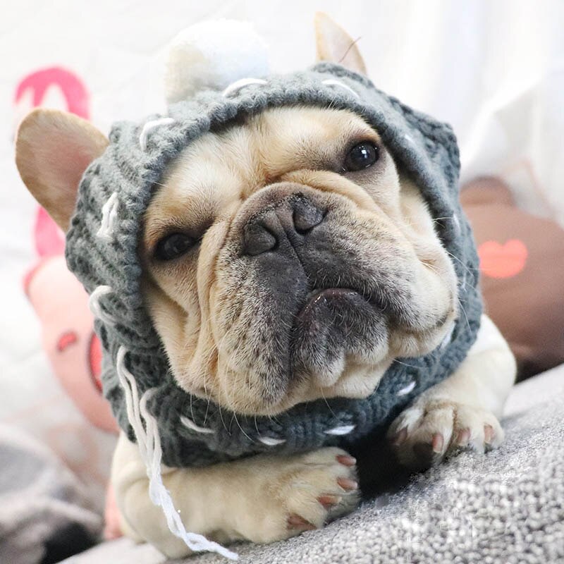 Gorro de invierno para mascotas, gorro navideño para perros
